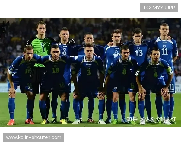 关于世界杯瑞士对阵波黑比赛的球队阵容、伤病情况及战术分析